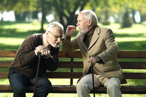 Two older men on a park bench, one is leaning towards the other man's cupped hand to hear what he's saying.