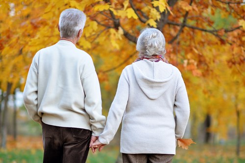 The back of an elderly couple walking through Autumn leaves holding hands
