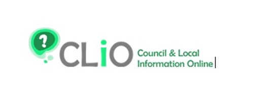 Clio logo in grey and green