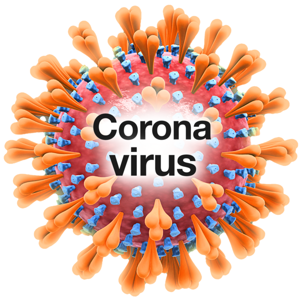 easy read image of the Coronavirus 