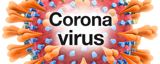 easy read image of the Coronavirus 