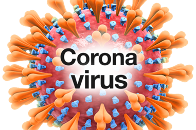 A close up of the coronavirus